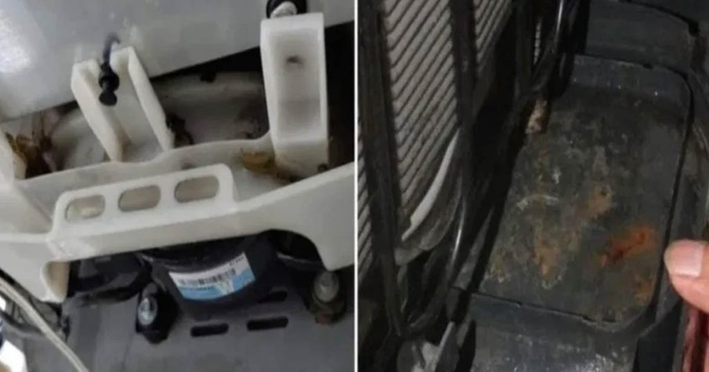 Cut Your Energy Bills by Cleaning This Overlooked Part of Your Refrigerator Every Six Months : Secret Life Of Mom